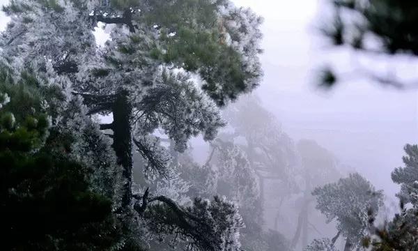 逃离豪宅大厦5